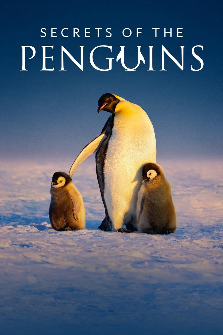 Secrets of the Penguins S01