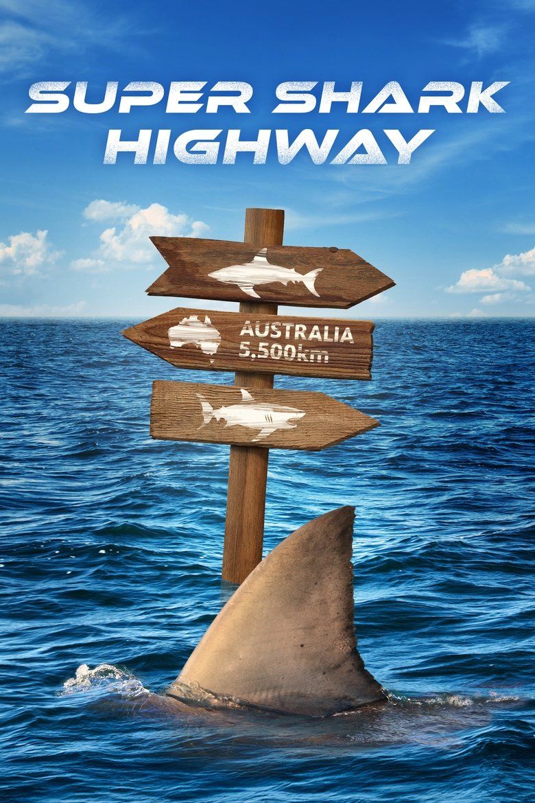 Super Shark Highway S01