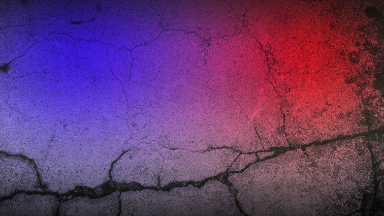 After the First 48 S10