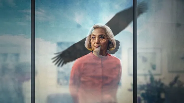 Searching For Sheela