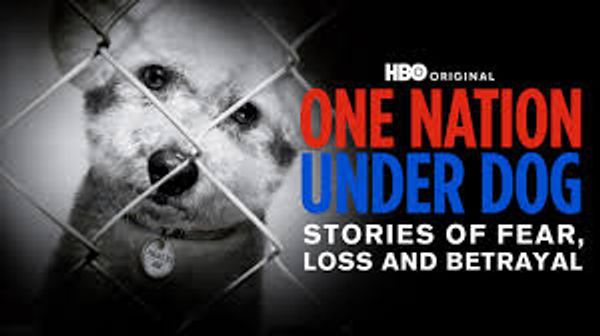 One Nation Under Dog: Stories of Fear, Loss & Betrayal