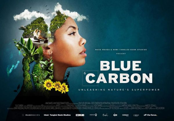 Blue Carbon: Nature's Hidden Power