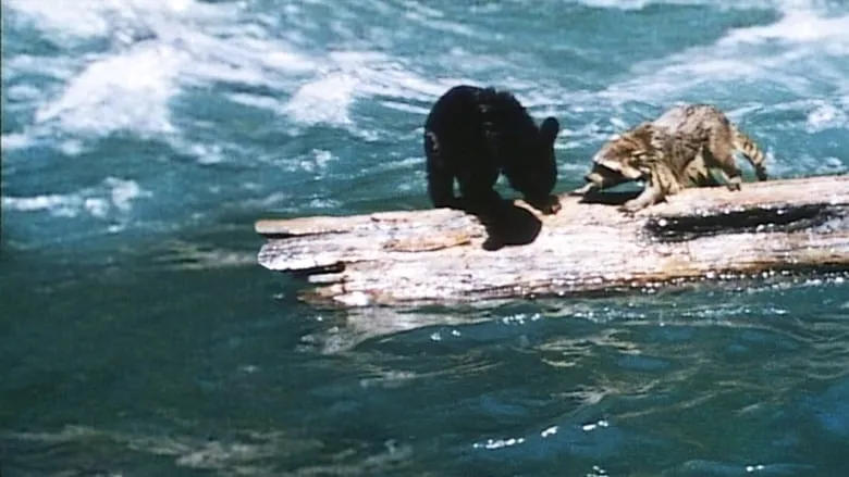 A Tale of Two Critters-eng