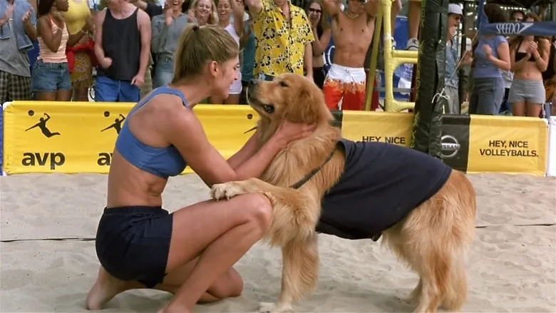 Air Bud: Spikes Back-eng