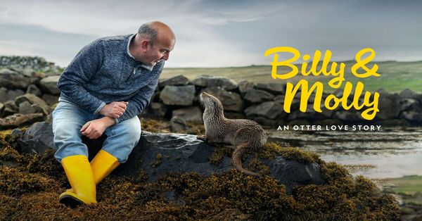 Billy & Molly: An Otter Love Story