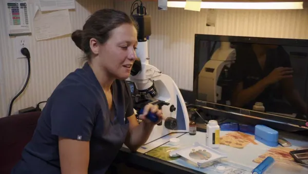 The Incredible Dr. Pol: The Grand Finale