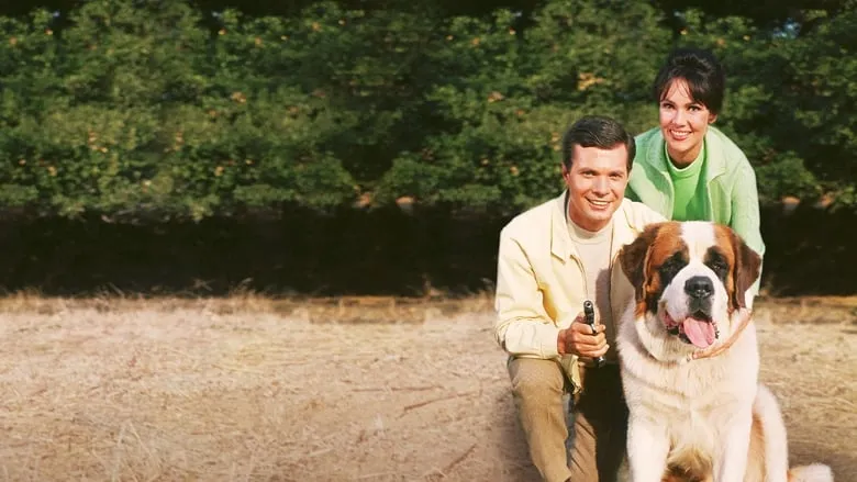 My Dog, the Thief-eng