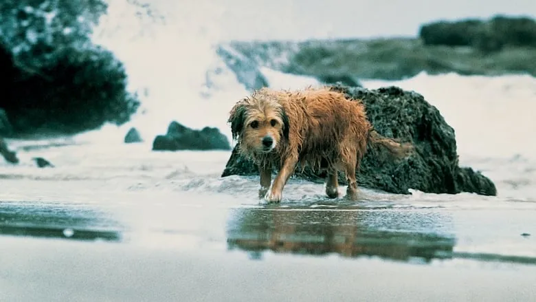 Benji the Hunted-eng