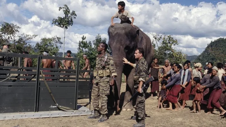 Operation Dumbo Drop-eng