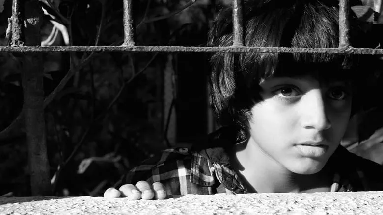 A Billion Colour Story (Hindi)