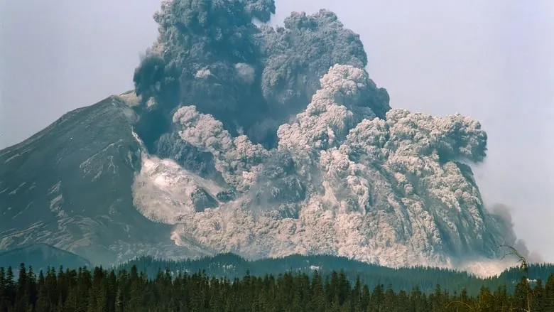 Surviving the Mount St. Helens Disaster-eng