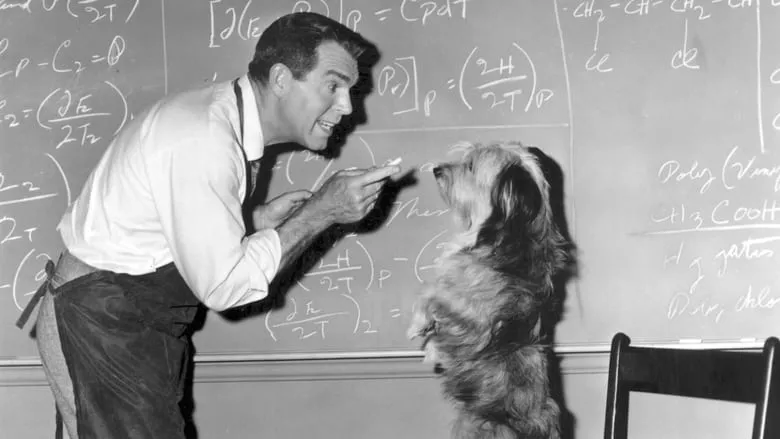 The Absent-Minded Professor-eng