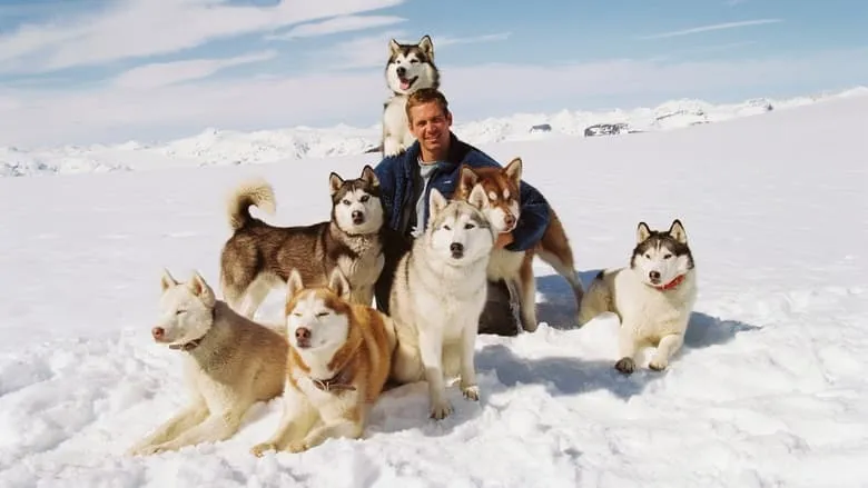 Eight Below-eng