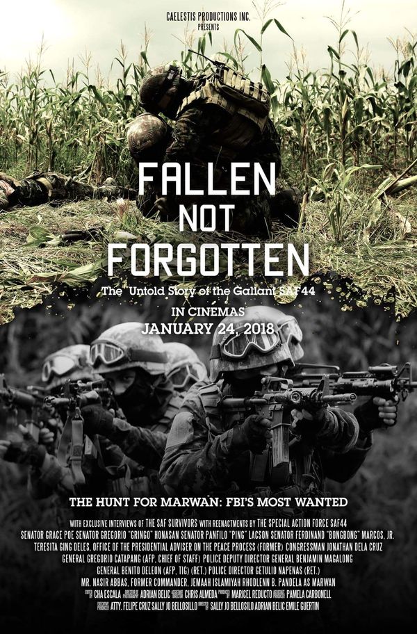 Fallen Not Forgotten: The Untold Story of the Gallant SAF 44