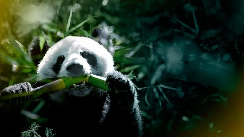 The Hidden Kingdoms of China-eng