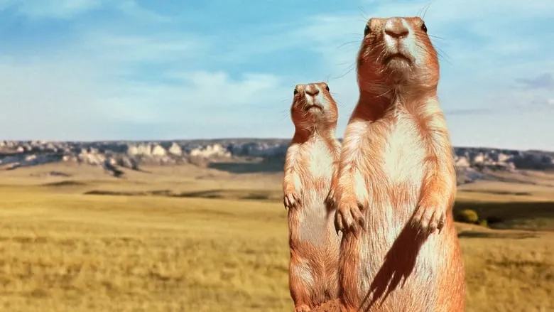 The Vanishing Prairie-eng