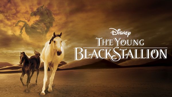 The Young Black Stallion-eng