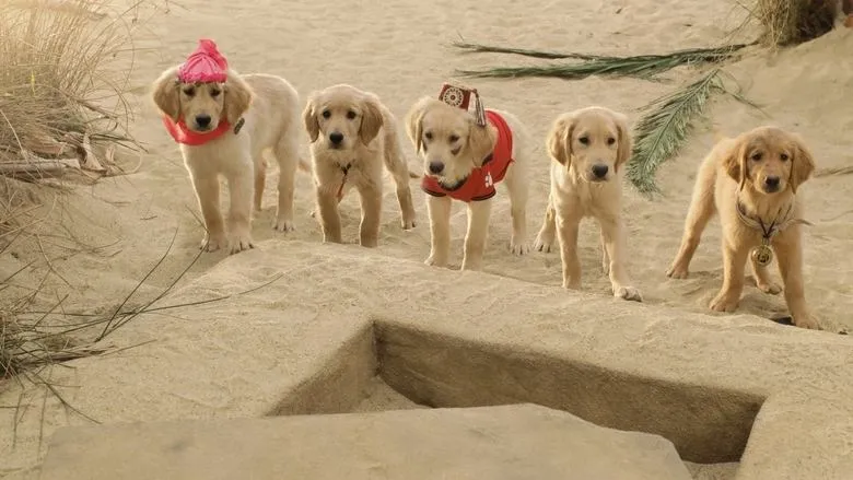 Treasure Buddies-eng