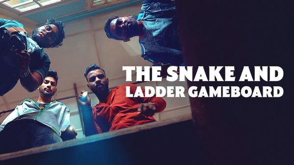 The Snake And Ladder Gameboard