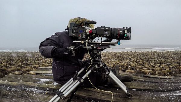 Our Planet - Behind The Scenes