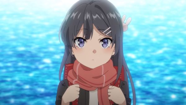 Rascal Does Not Dream of a Knapsack Kid